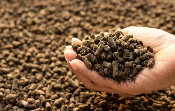 Animal-Feed